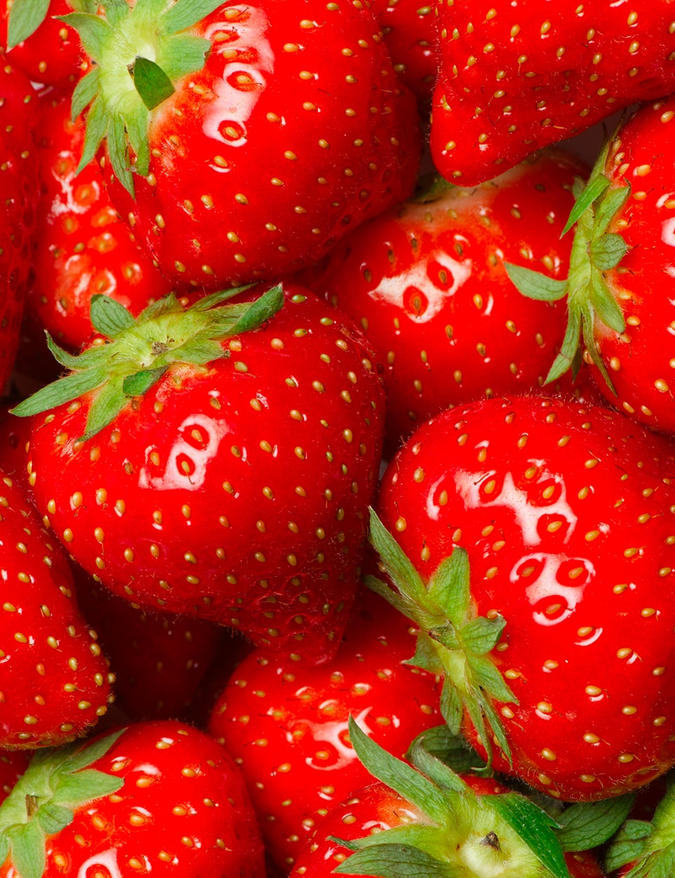 2022-classic-white-strawberries-cream-lifestyle-port-large-2x.jpg